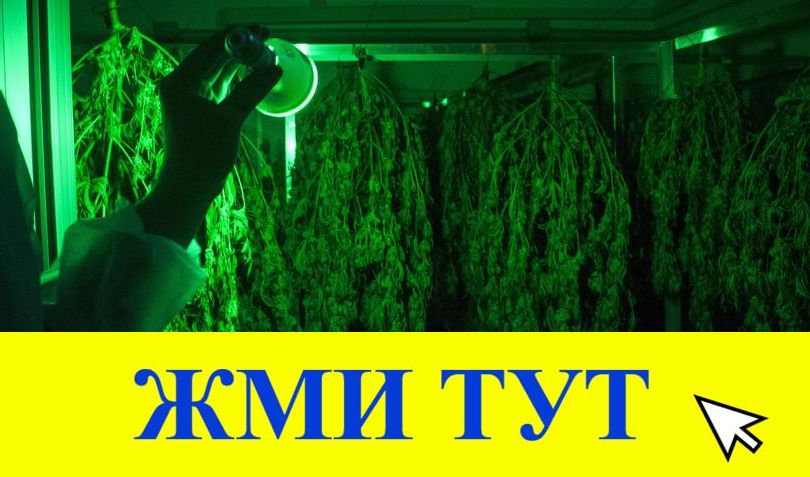 Купить наркотики в Бирске